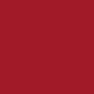 CROWN SHADES 10x10 Pop Up Canopy Tent - Patented Center Lock One Push Instant Outdoor Canopy Beach Tent with STO-N-Go Bag 8 Stakes & 4 Sand Bags,Red