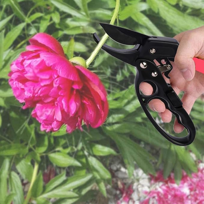 Ultra Sharp Germany Steel Pruning Shears - Cuts 3X Easier, Weak Hand Arthritis Snips, Rust-Resistant, Effortlessly 1-Inch Cut Capacity Garden Scissors, Ergonomic Handle (Reddish balck)