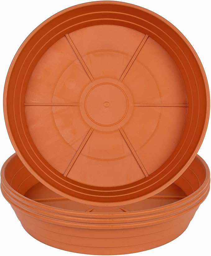 Plant Saucer 8 Inch 4 Pack 6 8 10 12 14 16 18 20 25, Plastic Plant Trays for Pots,Extra-Deep Plant Water Dray Tray, Bird Bath Bowl, Heavy Flower Plant saucers Indoors and Outdoor No Holes 8in-4 red