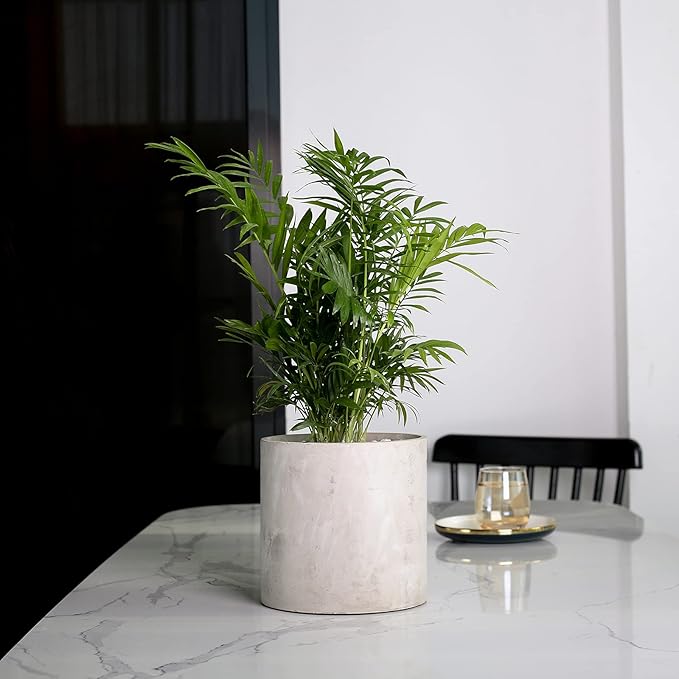 Plant Pots - 6.7 inch Cement Planters Indoor - Modern Grey Flower Pot with Drainage Hole - Home Office Decor