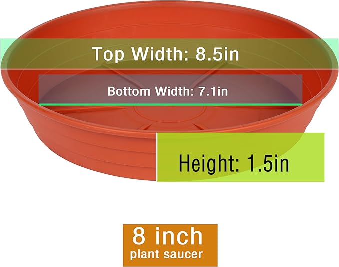 Plant Saucer 8 Inch 4 Pack 6 8 10 12 14 16 18 20 25, Plastic Plant Trays for Pots,Extra-Deep Plant Water Dray Tray, Bird Bath Bowl, Heavy Flower Plant saucers Indoors and Outdoor No Holes 8in-4 red