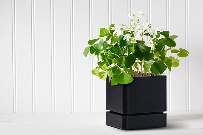 4 Inch Herb Planter Pot, Plastic Planter with Drainage Holes and Saucer, Modern Decorative Gardening Pot for Indoor Plants, Flowers, Herbs, Succulents, Black, Set of 2, 76-Y-B-2