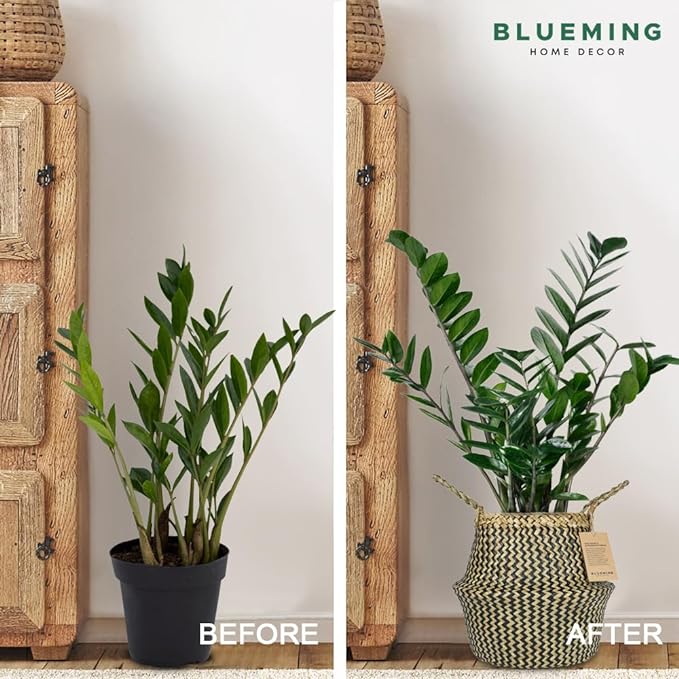 Olive Tree Basket ā Small Seagrass Plant Pot for Tall Indoor Artificial Trees, Woven Planter 8-9 Inches, Wicker Baskets for Decorative Storage (Black, Medium)