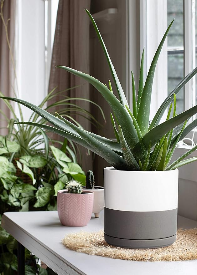 D'vine Dev Set of 2 Plants Pots, 10 Inch Ceramic Planter Pot for Plants with Drainage Hole and Saucer, White/Speckled Grey, 94-V-E-6