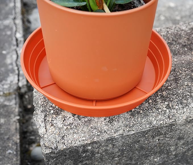 Plant Saucer 8 Inch 4 Pack 6 8 10 12 14 16 18 20 25, Plastic Plant Trays for Pots,Extra-Deep Plant Water Dray Tray, Bird Bath Bowl, Heavy Flower Plant saucers Indoors and Outdoor No Holes 8in-4 red