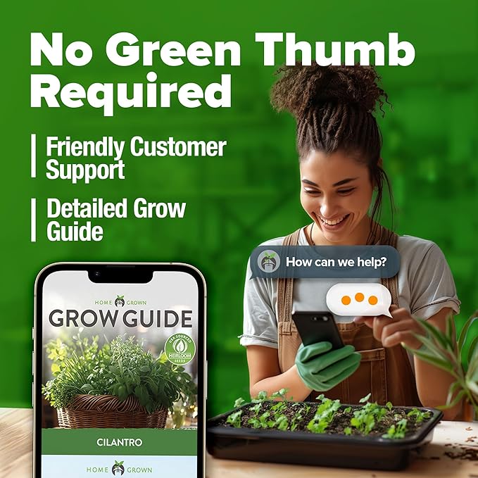 HOME GROWN 𝗨𝗦𝗔 𝗣𝗥𝗘𝗠𝗜𝗨𝗠 500+ Cilantro Seeds for Planting Indoors or Outdoors - Heirloom 𝗡𝗢𝗡-𝗚𝗠𝗢 Coriander Seeds, Grow Your Own Cilantro Plant - Culinary Herb Seeds for Your Herb Garden