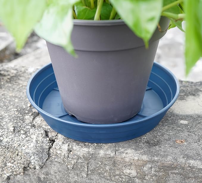 Plant Saucer 14 Inch 2 Pack 6 8 10 12 14 16 18 20 25, Plastic Plant Trays for Pots,Extra-Deep Plant Water Dray Tray, Bird Bath Bowl, Heavy Flower Plant Saucers Indoors and Outdoor No Holes