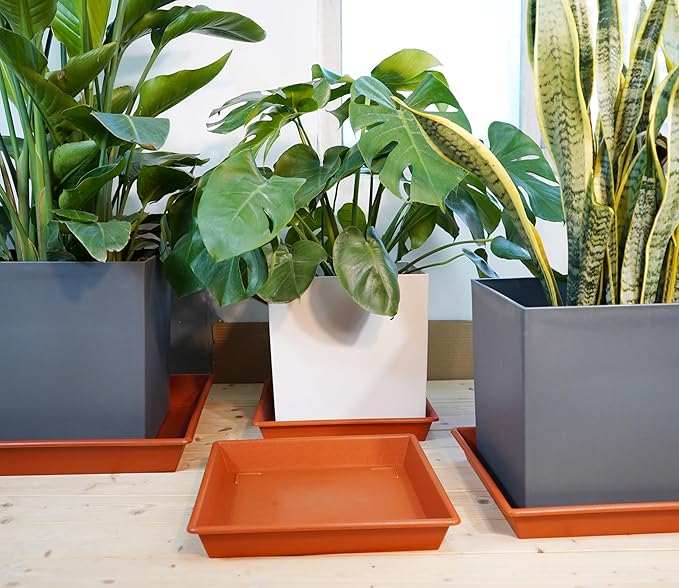 Square Plant Saucer 6 Inch 5 Pack6 8 12 14 16 18 20 Flower Pot No Holes Plant Drip Trays, Plant Trays for Pots Heavy Duty Plastic Plant Saucers for Indoors Outdoors