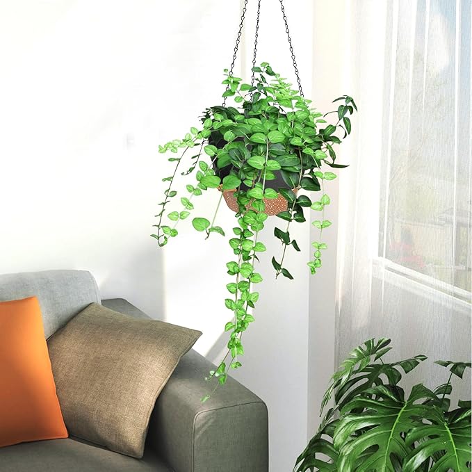 3 Pack Hanging Planter Indoor Outdoor Flower Pots 7/6.5/5 Inch, Self-Watering Hanging Pot with Drainage Holes Hanging Baskets Holder Plant Pots for Garden (Black)