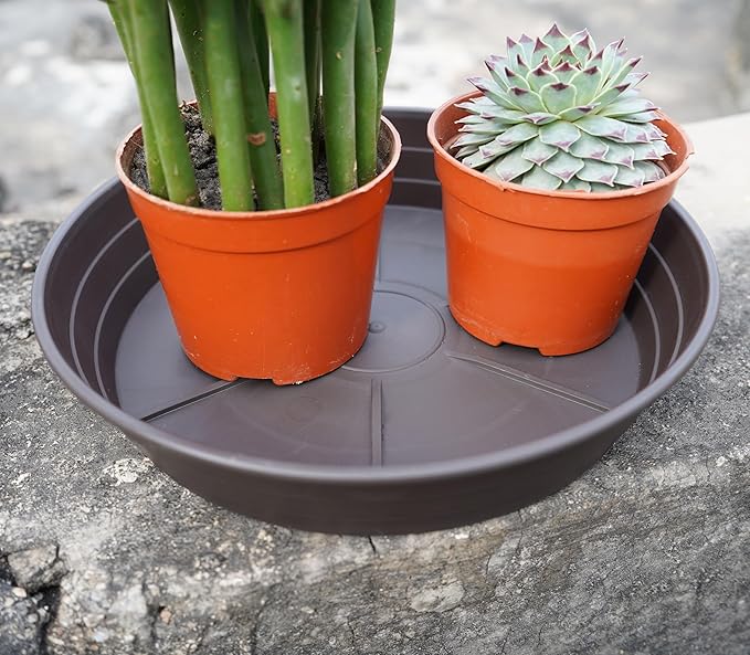 Plant Saucer 8 Inch 4 Pack 6 8 10 12 14 16 18 20 25, Plastic Plant Trays for Pots,Extra-Deep Plant Water Dray Tray, Bird Bath Bowl, Heavy Flower Plant saucers Indoors and Outdoor No Holes 8in-4 brown