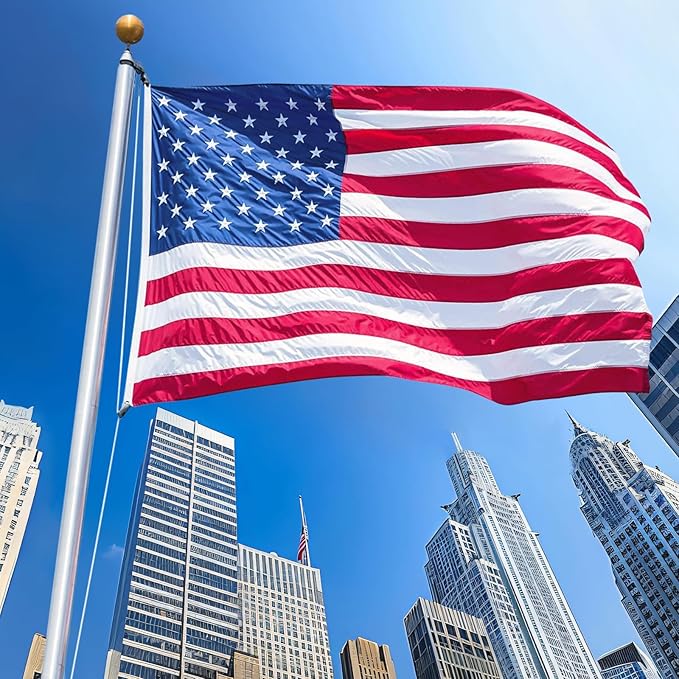 American Flag 8x12 FT, US Flags with Embroidered Stars Sewn Stripes Brass Grommets, Vivid Color, All Weather United States Flag, Polyester USA Flag for Outdoors Indoors (8x12 Foot)