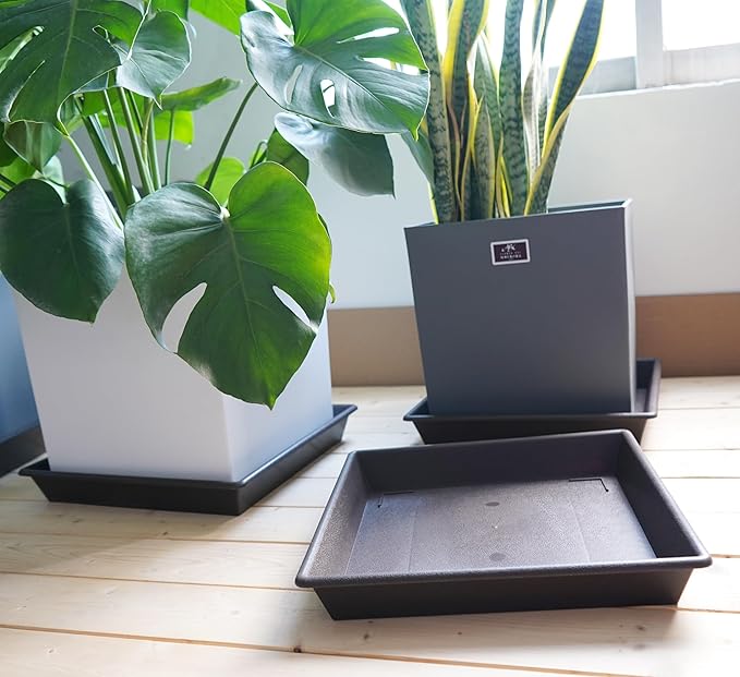 Square Plant Saucer 6 Inch 5 Pack6 8 12 14 16 18 20 Plant Trays for Pots Heavy Duty Plastic Plant Saucers for Indoors Outdoors, Flower Pot No Holes Plant Drip Trays