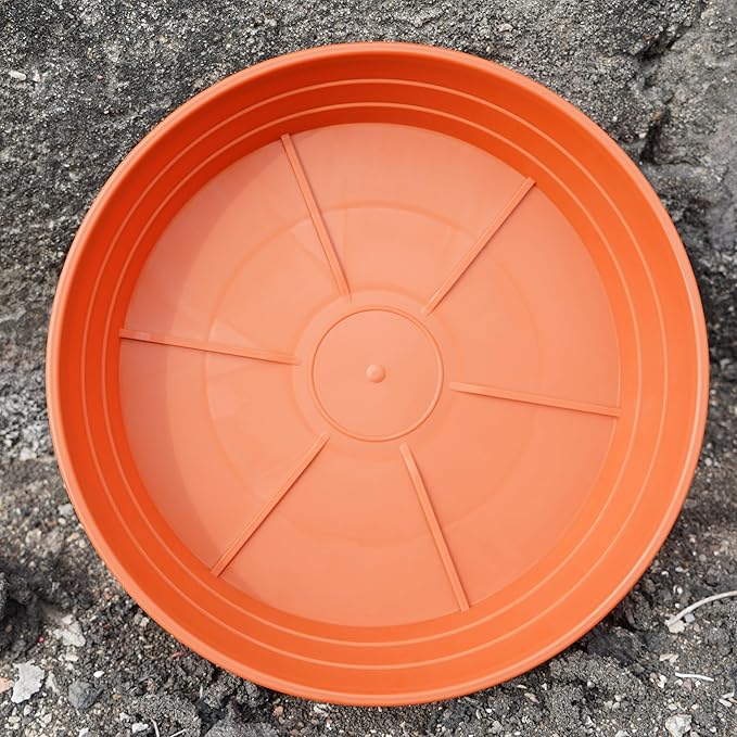 Plant Saucer 8 Inch 4 Pack 6 8 10 12 14 16 18 20 25, Plastic Plant Trays for Pots,Extra-Deep Plant Water Dray Tray, Bird Bath Bowl, Heavy Flower Plant saucers Indoors and Outdoor No Holes 8in-4 red