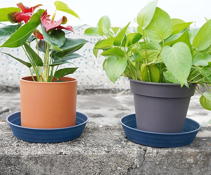 Plant Saucer 8 Inch 4 Pack 6 8 10 12 14 16 18 20 25, Plastic Plant Trays for Pots,Extra-Deep Plant Water Dray Tray, Bird Bath Bowl, Heavy Flower Plant saucers Indoors and Outdoor No Holes 8in-4 blue