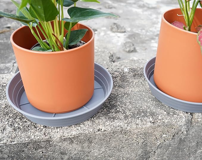 Plant Saucer 6 Inch 4 Pack 6 8 10 12 14 16 18 20 25, Plastic Plant Trays for Pots,Extra-Deep Plant Water Dray Tray, Bird Bath Bowl, Heavy Flower Plant saucers Indoors and Outdoor No Holes 6in-4 grey