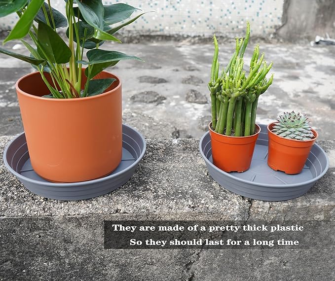 Plant Saucer 8 Inch 4 Pack 6 8 10 12 14 16 18 20 25, Plastic Plant Trays for Pots,Extra-Deep Plant Water Dray Tray, Bird Bath Bowl, Heavy Flower Plant saucers Indoors and Outdoor No Holes 8in-4 grey