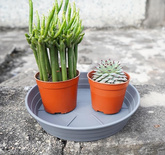 Plant Saucer 14 Inch 4 Pack 6 8 10 12 14 16 18 20 25, Plastic Plant Trays for Pots,Extra-Deep Plant Water Dray Tray, Bird Bath Bowl, Heavy Flower Plant Saucers Indoors and Outdoor No Holes