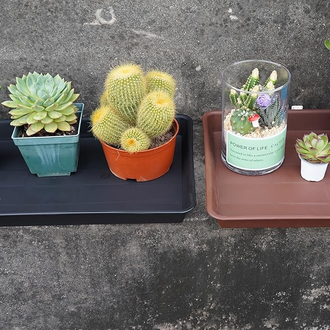 2 Pack Plant Growing Nursery 1020 Trays, Plant Saucer Tray, Heavy Sturdy Seed Starting Trays, Plant Saucer for Indoors No Holes, Seed Starter Growing Tray (22"x11.2", Black)