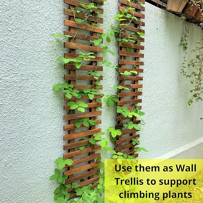 ShopLaLa Wall Planter-2 Pack Wooden Hanging Planters for Indoor Plants,Wall Mounted Plant Stand Ladder Outdoor Vertical Garden Balcony Unique Live Orchid Planter Large Dark Brown Wall Decorations