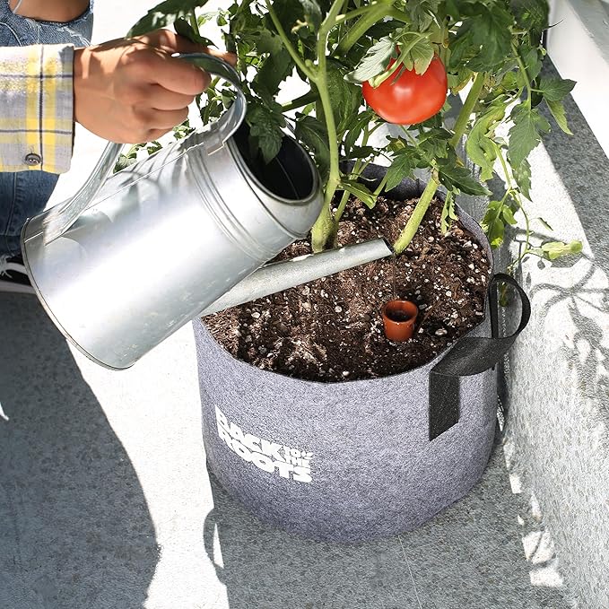 Back to the Roots Self-Watering Terracotta Olla Pot, 700mL Provides 1 Week of Precision Watering