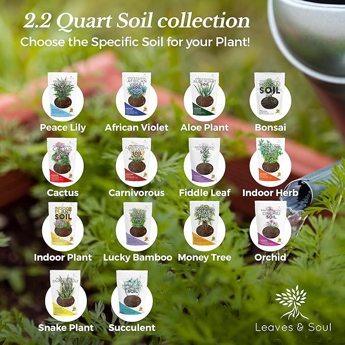 Professional Peace Lily Soil | Large 2.2 Quarts Ready to Use for Peace Lily Plants | Peat Moss, Coco Coir, Perlite, Dolomite | Made in USA