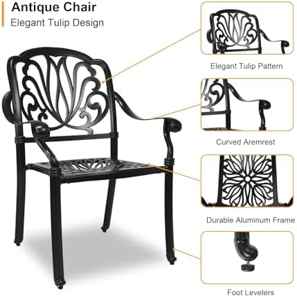 Outdoor Dining Chairs Cast Aluminum, Patio Dining Chairs Set of 2, Conversation - Image 4