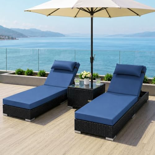 Outdoor Chaise Lounge Chairs Set of 2 by ANSCHAUNOutdoors