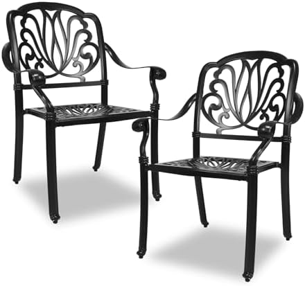 Outdoor Dining Chairs Cast Aluminum, Patio Dining Chairs Set of 2, Conversation by PATIO-IN