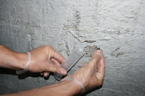 Lead Test Kit in Paint, Dust, or Soil 1PK (Sameday) Schneider Labs (Overnight Return Shipping)