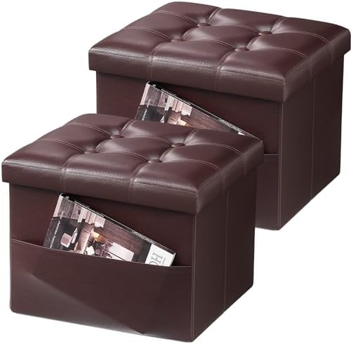 AmasSmile Ottoman with Storage, Folding Chest by AmasSmile