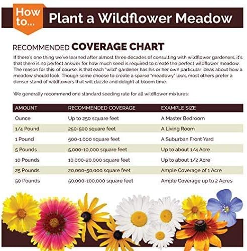 Dirt Goddess Super Seed~ Nasturtium, Tall Trailing Mix Seed~ Tropaeolum majus (1 Lb)