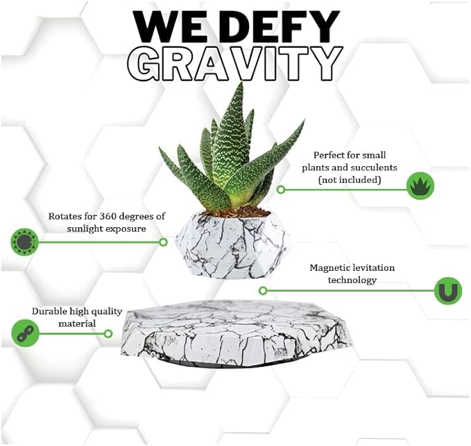 BandD Plant Pot for Succulents, air Bonsai & air Plants. Planter for Home, Office & Desk Decor. Magnetic Floating Levitating Display. (Marble)