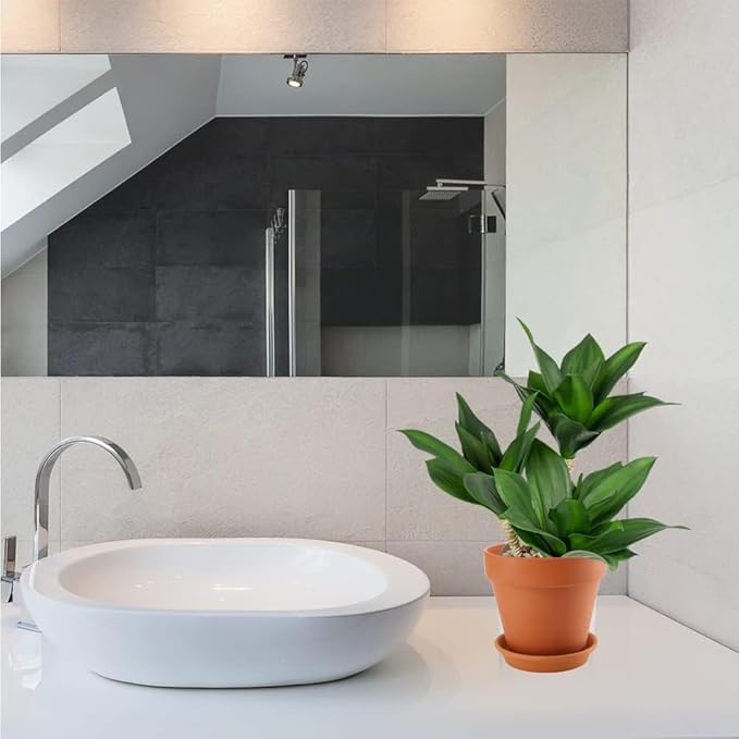 2 Pack Large Terracotta Pots with Saucer for Plants, 8 Inch Terra Cotta Plant Pot with Drainage Hole, Clay Flower Planter Pot with Tray for Indoor Plant