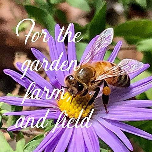 All Annual Wildflower Mix Seeds for Planting - 4 Oz ~4,000+ Seeds - 21 Varieties Including California, Indian Blanket, Scarlet Flax, & More - Attracts Pollinators - Bulk Wildflower Seed