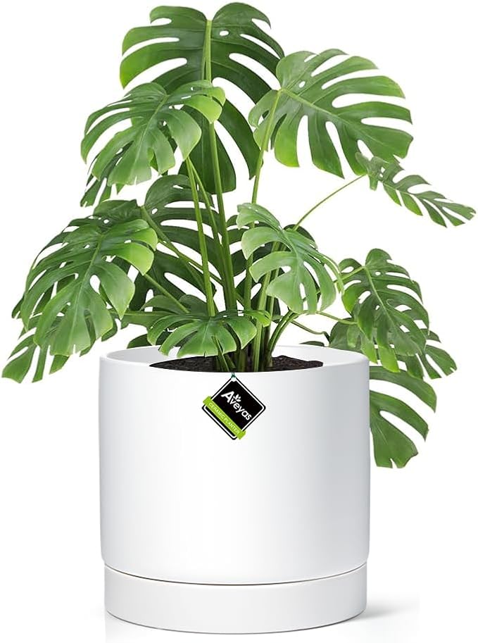Aveyas 10 inch Ceramic Plant Pot with Drainage Hole and Saucer - Suitable for Indoor and Outdoor Use, Modern Planters for House Garden Flower Tree Snake Monstera Plants (10", Matte White)