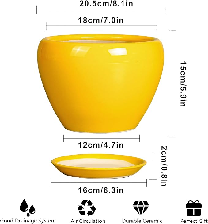 8 Inch Plant Pot - Glaze Modern Round Ceramic Planter for Indoor Outdoor Plants with Drainage Hole and Saucer for Home Patio Room Office Decor, Yellow
