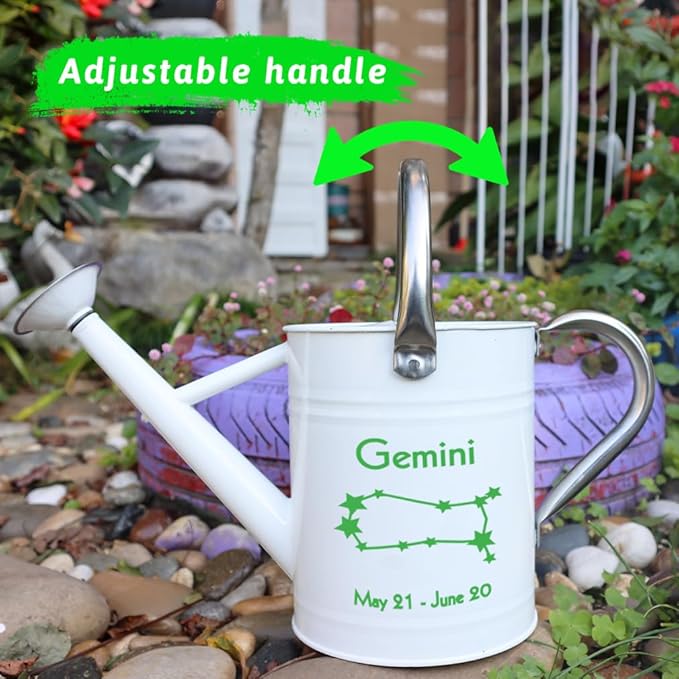 Metal Watering Can for Outdoor and Indoor Plants, Watering Can Decor, 1 Gallon (Gemini)