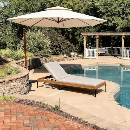 PURPLE LEAF Outdoor Chaise Lounge Chair 1 Piece by PURPLELEAF
