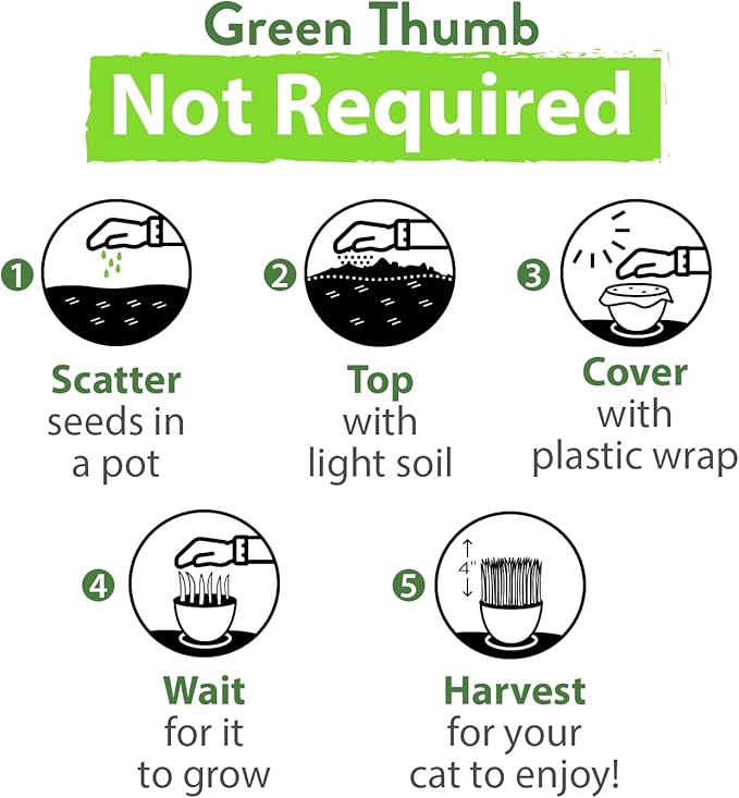 HOME GROWN 30,000+Cat Grass Seeds (6oz) 𝗡𝗢𝗡-𝗚𝗠𝗢 𝗨𝗦𝗔 Heirloom Barley & Oat Mix – Refill for Indoor Cat Grass Growing Kit – Safe Healthy Green Grass for Cats – Pet Grass for Eating & Digestion