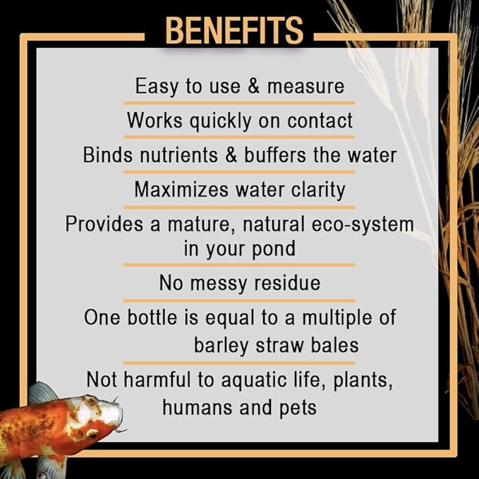 MICROBE-LIFT MLCBSE250 Concentrated Barley Straw Extract Conditioner for Ponds and Outdoor Water Garden, Safe for Live Koi Fish, Plants, and Decorations, 8 Ounces
