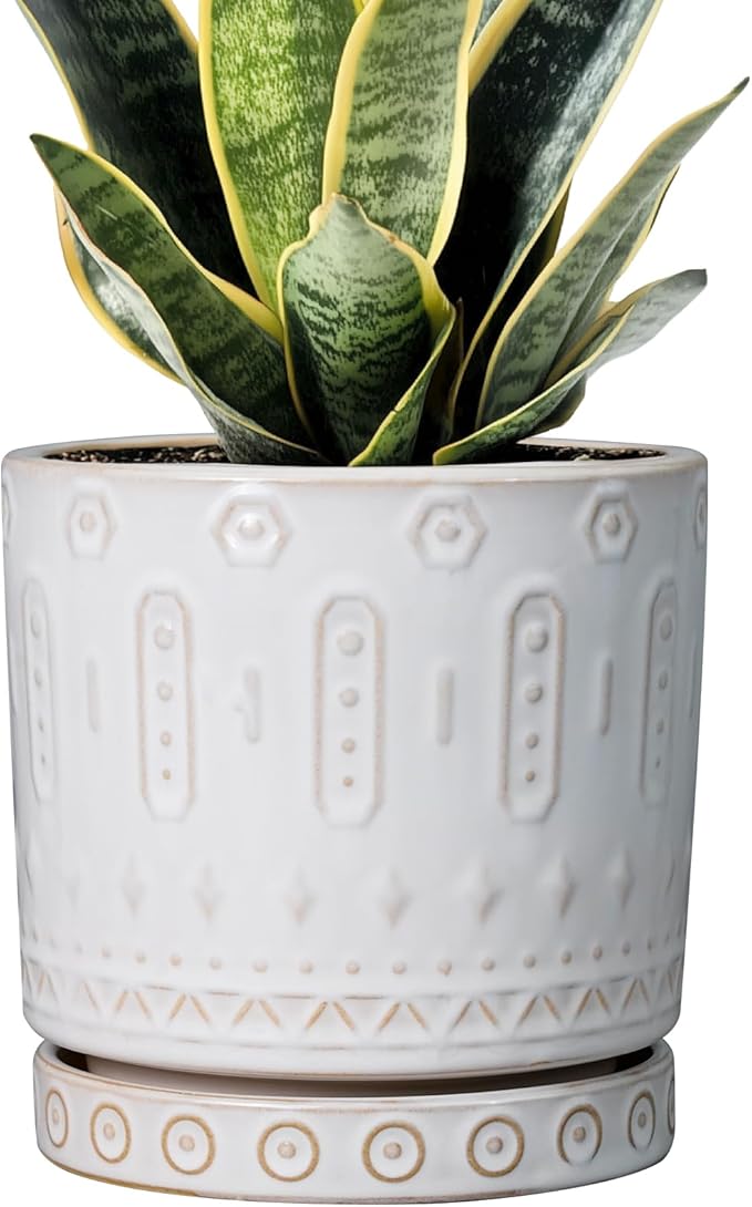Pot for Plants 6 Inch - Ceramic Planter for Indoor Plants Decorative Plant Pot with Drainage Holes and Saucer Outdoor Flower Pot Modern Succulent Pot for Office Desk Decor White