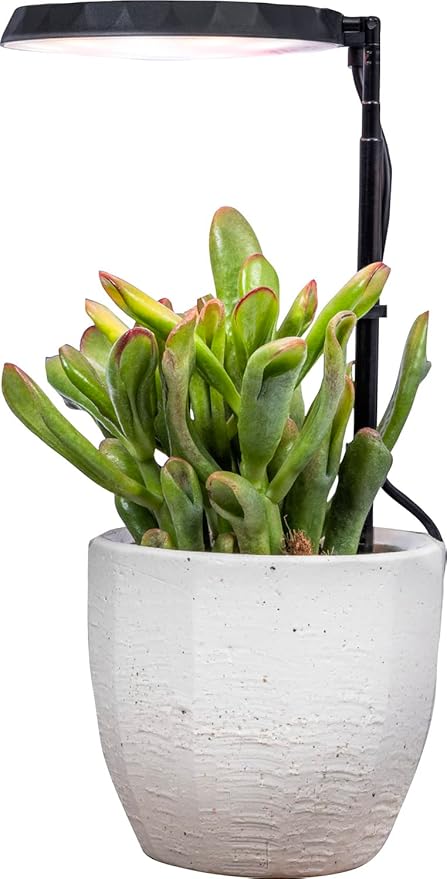 AeroGarden Stem Grow Light for Indoor Plants, Grow Live Plants Anywhere in The Home, Adjustable Light Modes, Black (Only Light)