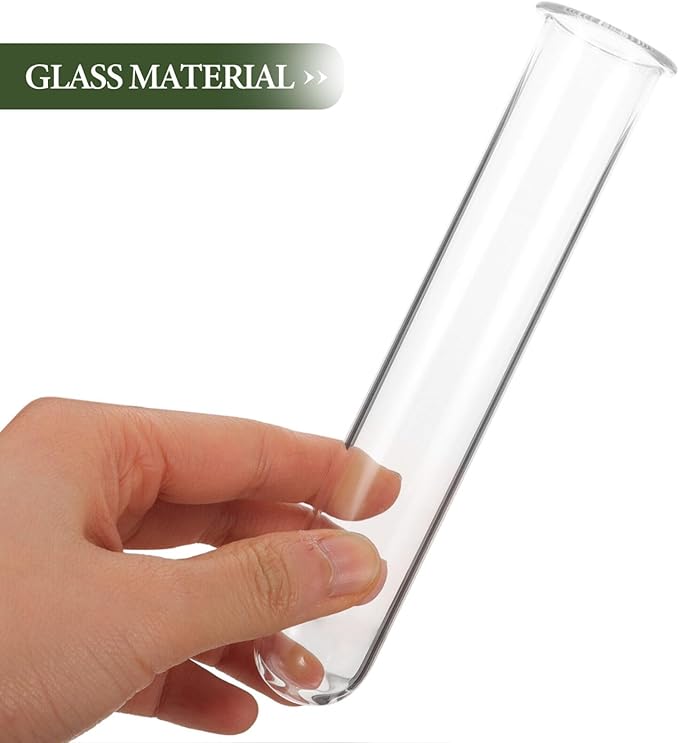 Alipis 4pcs Glass Propagation Stations Accessories Glass Test Tubes Tiered Planters Wall Terrarium for Home Office Plant Hanger Flower Vases Wall Decor Hydroponic Cuttings