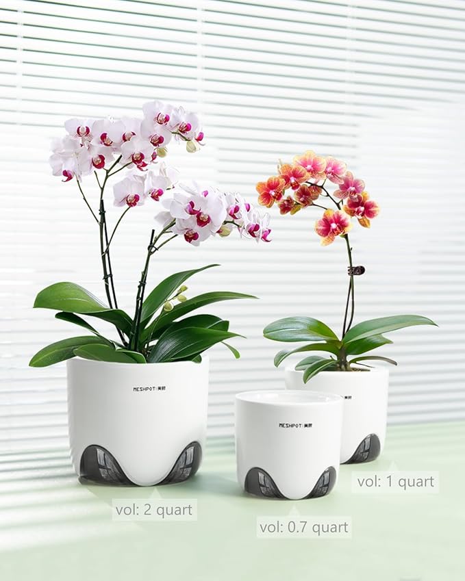 6 inch Orchid Pots with Holes for Repotting with Excellent Airflow, Set of 2, Double Layer Plastic Imitate Ceramic Orchid Planter, Clear Orchid Pot Match Decorative Orchid Container