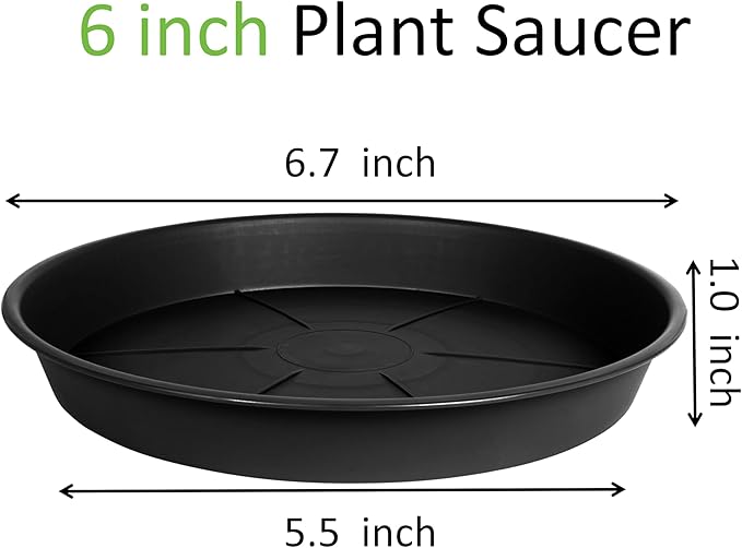 6 Pack of Plant Saucer 6 inch, Black Plastic Flower Plant Pot Saucer, Heavy Duty Plant Drip Trays Saucers for Indoor, Plant Water Tray for Planters
