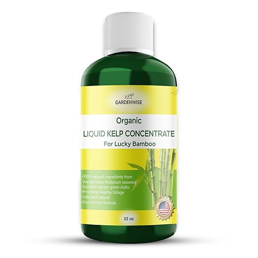 Organic Premium Kelp Seaweed Fertilizer for Lucky Bamboo - Liquid Plant Food - Hydroponics - Soil Enhancer - Natural (32 OZ)