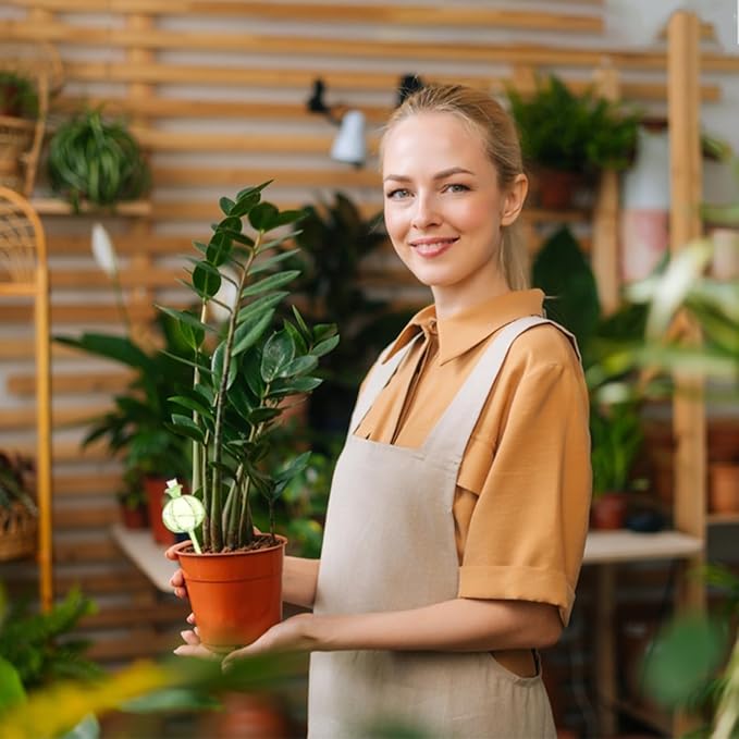 4 PCS Plant Self Watering Globes 8.9 Inch Plant Watering Devices Colorful Glass Glass Watering Bulbs for Indoor Outdoor Plants