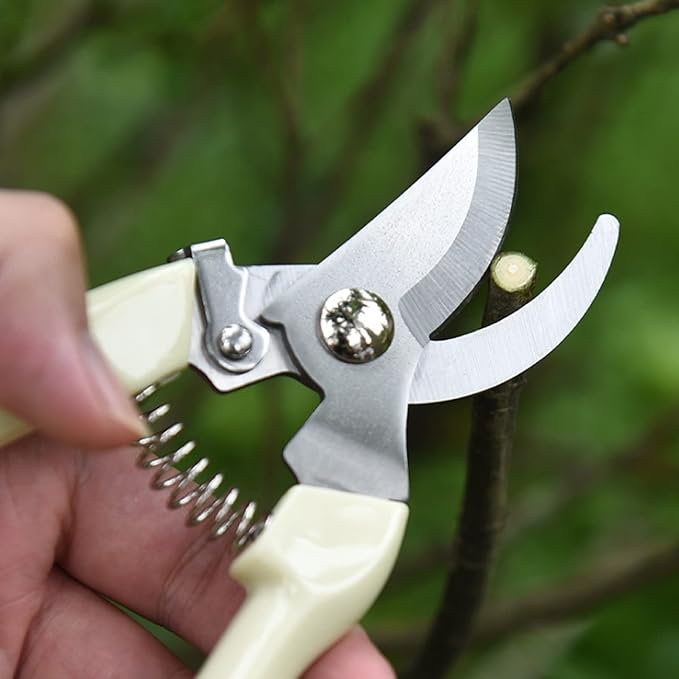 20 Pcs Garden Scissors for Plant, Tip Pruning Shears for Cutting Flowers, Trimming Plants, Bonsai and Fruits Picking (Bypass Blade Pruner)
