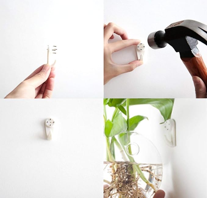 Pack of 6 Glass Planters Wall Hanging Planters Round Glass Plant Pots Hanging Air Plant Pots Flower Vase Air Plant Terrariums Wall Hanging Plant Container