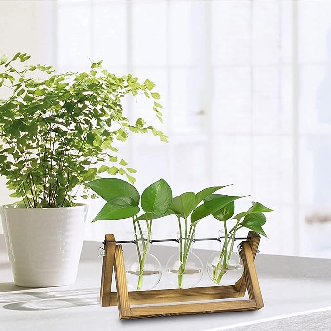 Kingbuy Desktop Glass Planter Iron and Wooden Stand Plant Terrariums for Indoor Office Desk Decor Accessories, 3 Bulb Vases, Brown